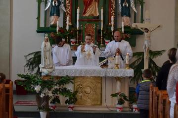 Procesia BT 2017_01 Procesia BT 2017_01