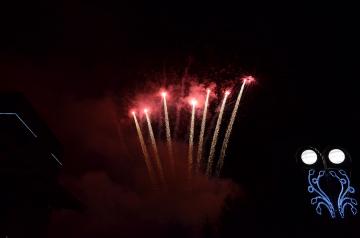 Nový rok 2019- ohňostroj _19 Nový rok 2019- ohňostroj _19