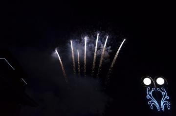 Nový rok 2019- ohňostroj _17 Nový rok 2019- ohňostroj _17